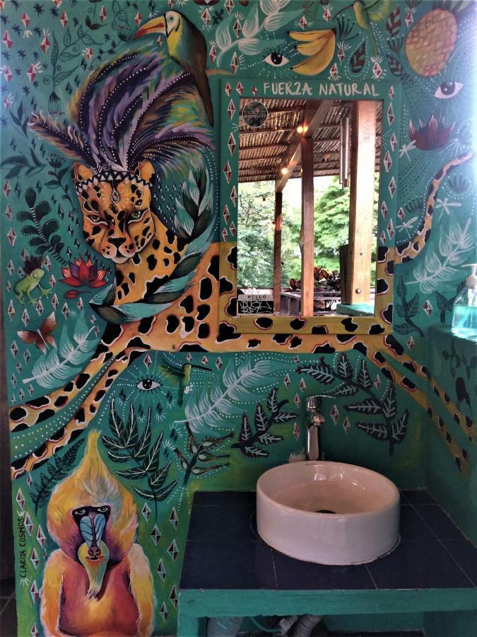 Casa Kiwi Hostel 메딜린 외부 사진